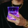 2 Packs Flash Light Up Cups Liquid Activated Multicolor LED Glasses Fun Light Up Drinking Shot Glasses,Glowing Wine Glasses Led Flashing Cups,Favors A